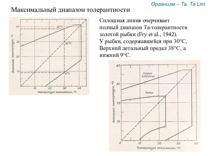 Сплошная линия очерчивает полный диапазон Та-толерантности золотой рыбки (Fry et al.,