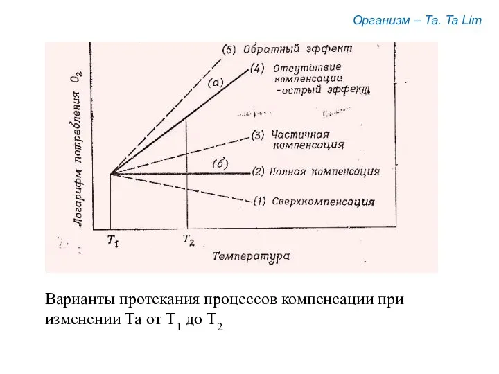 Организм – Та. Ta Lim Варианты протекания процессов компенсации при изменении Та от Т1 до Т2