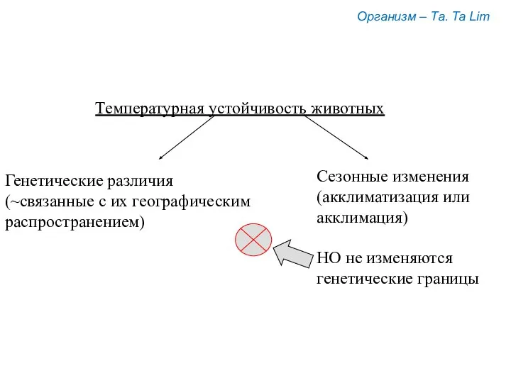 Организм – Та. Ta Lim Температурная устойчивость животных Генетические различия (~связанные