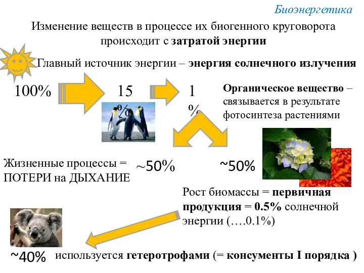 Изменение веществ в процессе их биогенного круговорота происходит с затратой энергии