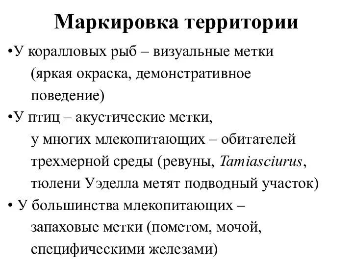 Маркировка территории У коралловых рыб – визуальные метки (яркая окраска, демонстративное