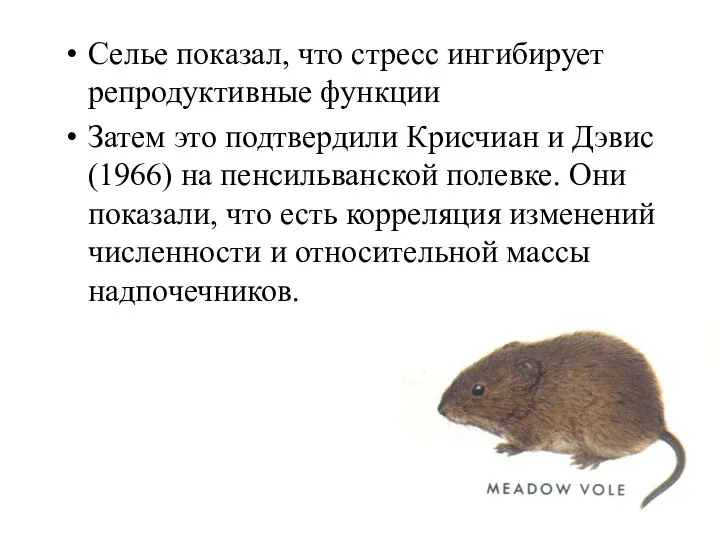 Селье показал, что стресс ингибирует репродуктивные функции Затем это подтвердили Крисчиан