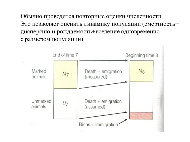 Обычно проводятся повторные оценки численности. Это позволяет оценить динамику популяции (смертность+