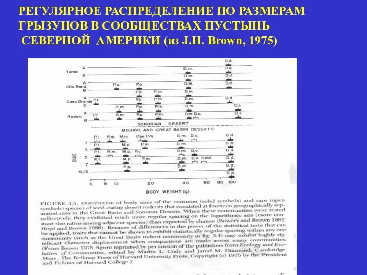 РЕГУЛЯРНОЕ РАСПРЕДЕЛЕНИЕ ПО РАЗМЕРАМ ГРЫЗУНОВ В СООБЩЕСТВАХ ПУСТЫНЬ СЕВЕРНОЙ АМЕРИКИ (из J.H. Brown, 1975)