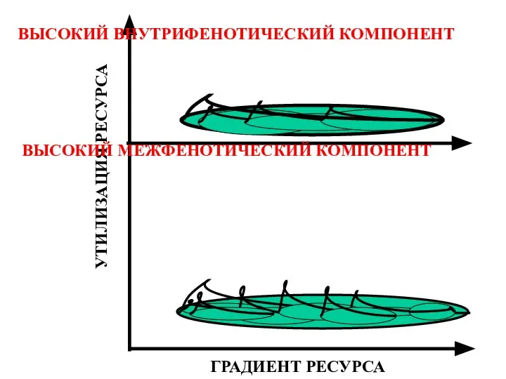 ГРАДИЕНТ РЕСУРСА УТИЛИЗАЦИЯ РЕСУРСА ВЫСОКИЙ ВНУТРИФЕНОТИЧЕСКИЙ КОМПОНЕНТ ВЫСОКИЙ МЕЖФЕНОТИЧЕСКИЙ КОМПОНЕНТ