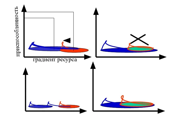 градиент ресурса приспособленность