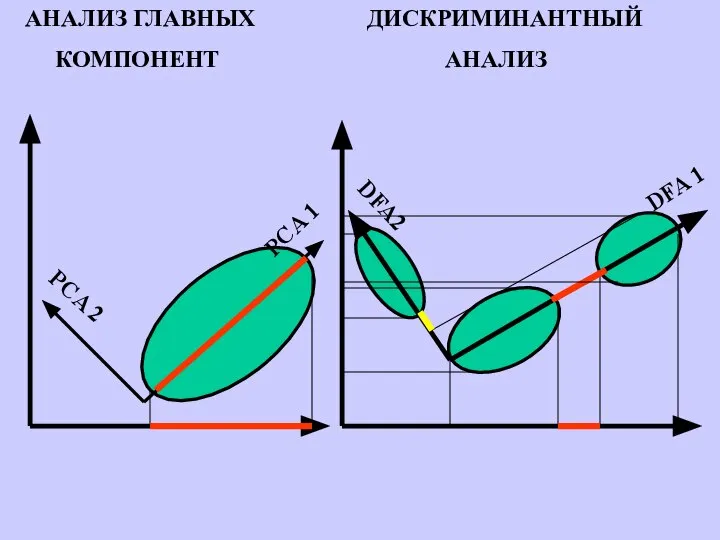 DFA 1 PCA 2 DFA2 АНАЛИЗ ГЛАВНЫХ КОМПОНЕНТ ДИСКРИМИНАНТНЫЙ АНАЛИЗ PCA 1