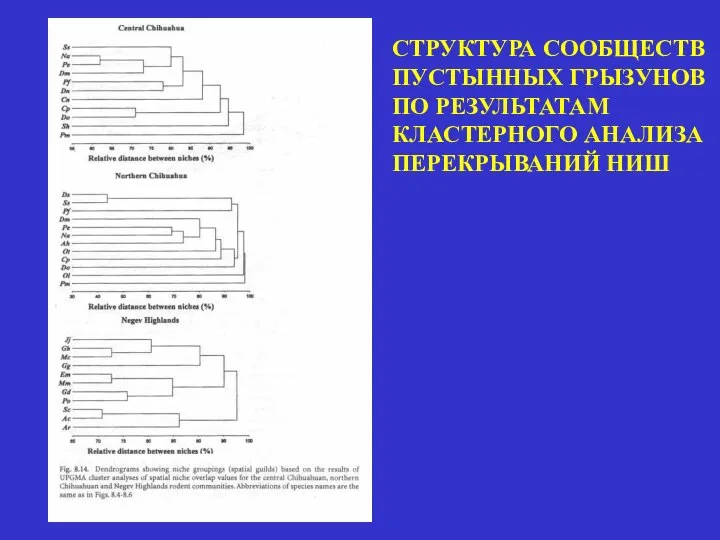 СТРУКТУРА СООБЩЕСТВ ПУСТЫННЫХ ГРЫЗУНОВ ПО РЕЗУЛЬТАТАМ КЛАСТЕРНОГО АНАЛИЗА ПЕРЕКРЫВАНИЙ НИШ