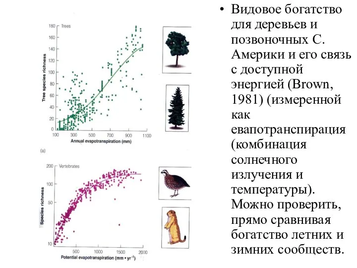 Видовое богатство для деревьев и позвоночных С. Америки и его связь