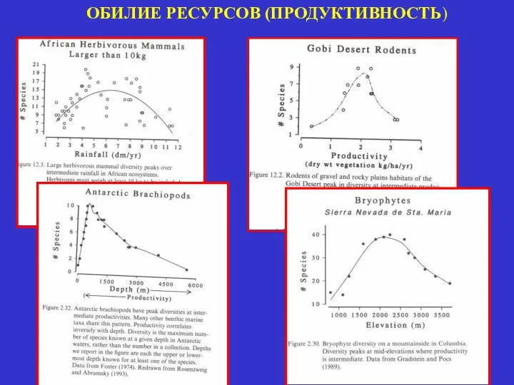 ОБИЛИЕ РЕСУРСОВ (ПРОДУКТИВНОСТЬ)