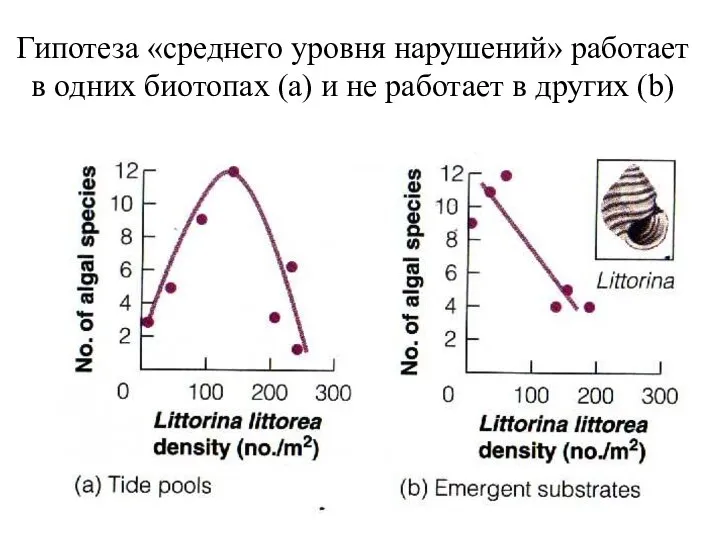 Гипотеза «среднего уровня нарушений» работает в одних биотопах (а) и не работает в других (b)