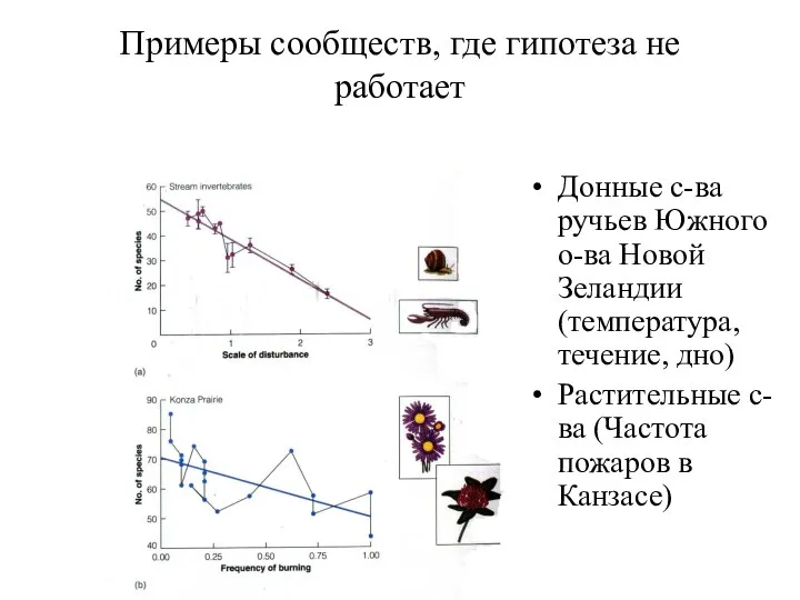 Примеры сообществ, где гипотеза не работает Донные с-ва ручьев Южного о-ва