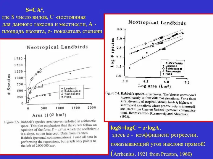 S=CAz, где S число видов, С -постоянная для данного таксона и