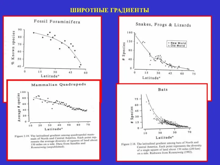 ШИРОТНЫЕ ГРАДИЕНТЫ