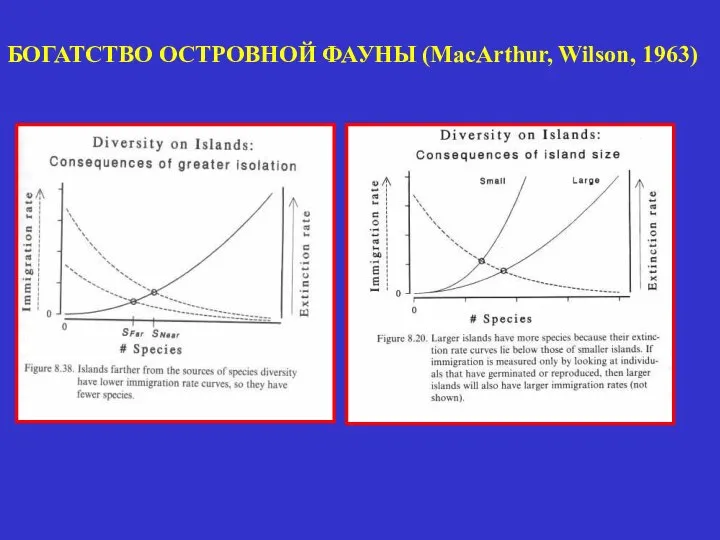 БОГАТСТВО ОСТРОВНОЙ ФАУНЫ (MacArthur, Wilson, 1963)
