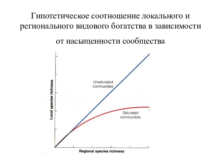 Гипотетическое соотношение локального и регионального видового богатства в зависимости от насыщенности сообщества