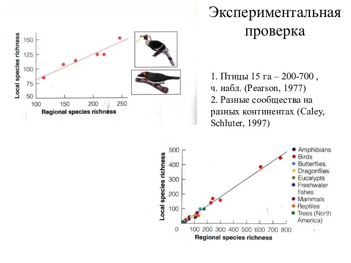 Экспериментальная проверка 1. Птицы 15 га – 200-700 , ч. набл.