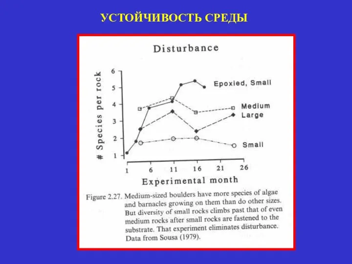 УСТОЙЧИВОСТЬ СРЕДЫ