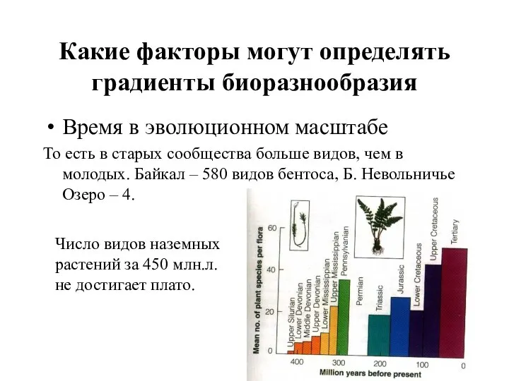 Какие факторы могут определять градиенты биоразнообразия Время в эволюционном масштабе То