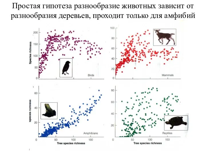 Простая гипотеза разнообразие животных зависит от разнообразия деревьев, проходит только для амфибий