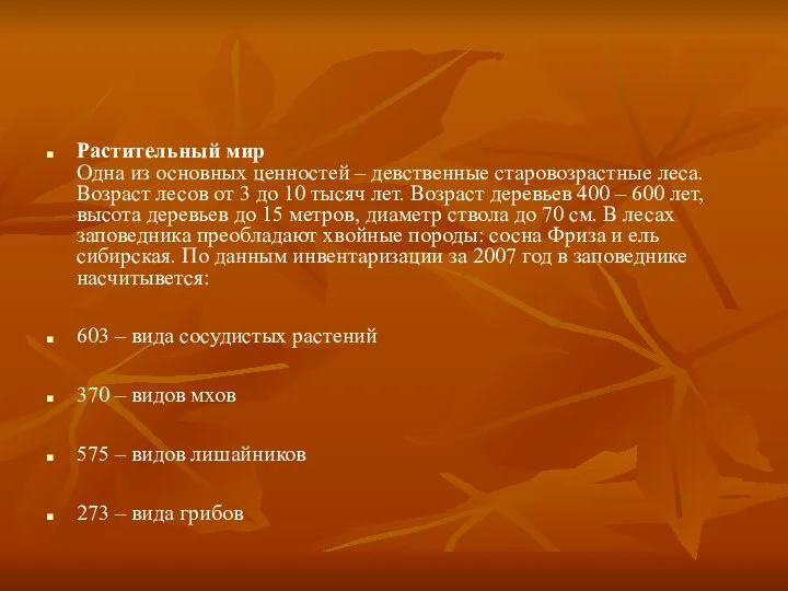 Растительный мир Одна из основных ценностей – девственные старовозрастные леса. Возраст