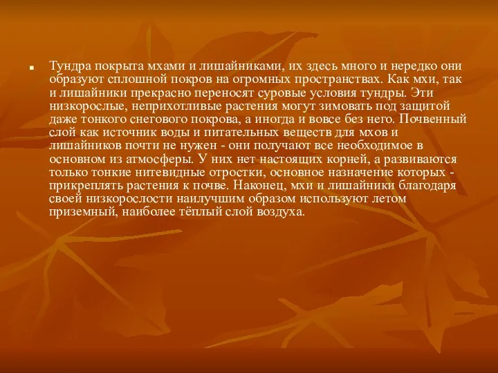 Тундра покрыта мхами и лишайниками, их здесь много и нередко они