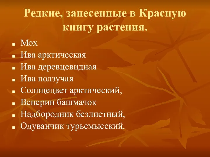 Редкие, занесенные в Красную книгу растения. Мох Ива арктическая Ива деревцевидная