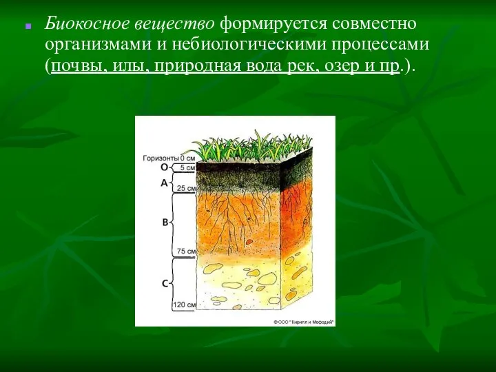 Биокосное вещество формируется совместно организмами и небиологическими процессами (почвы, илы, природная вода рек, озер и пр.).