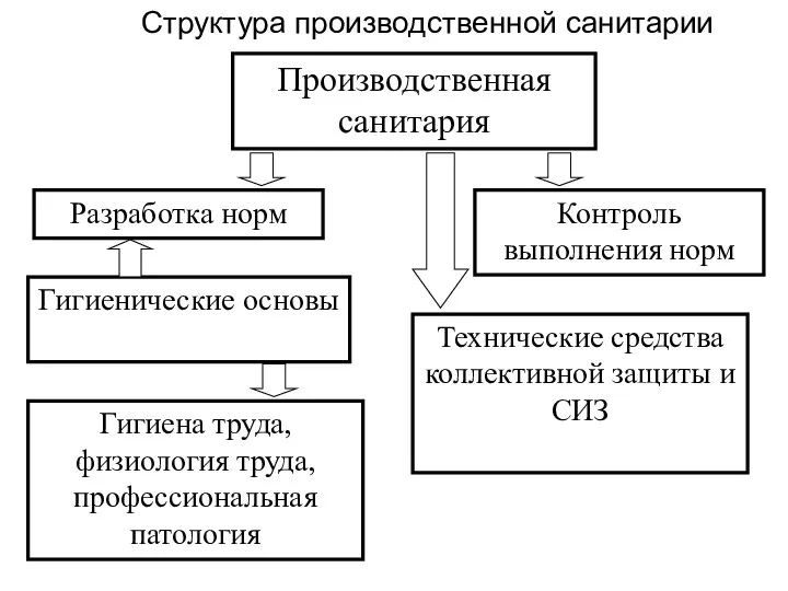 Структура производственной санитарии Производственная санитария Разработка норм Контроль выполнения норм Гигиенические