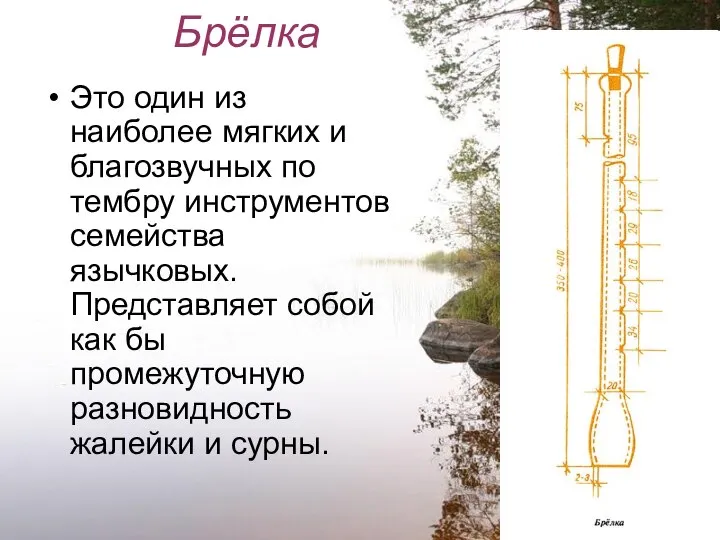 Брёлка Это один из наиболее мягких и благозвучных по тембру инструментов