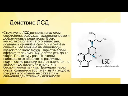 Действие ЛСД Структурно ЛСД является аналогом серотонина, возбуждая адреналиновые и дофаминовые