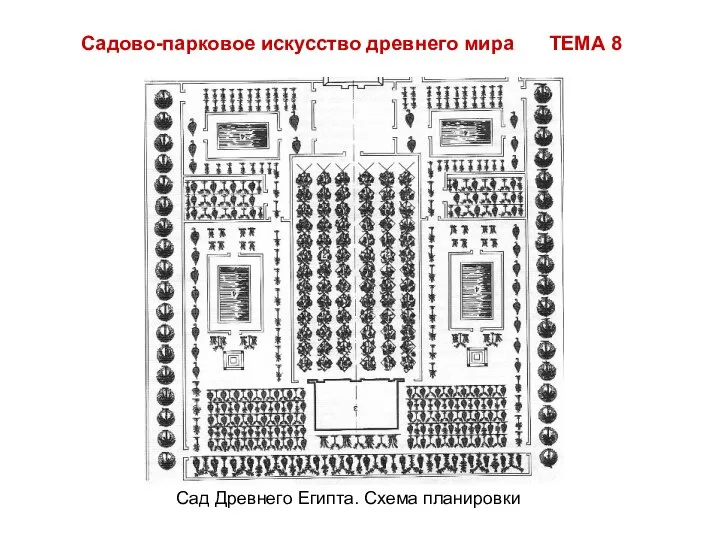 Садово-парковое искусство древнего мира ТЕМА 8 Сад Древнего Египта. Схема планировки