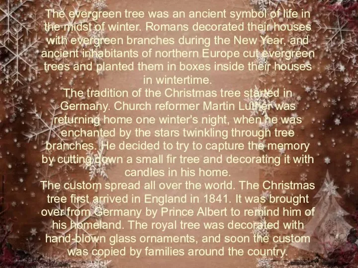 The evergreen tree was an ancient symbol of life in the