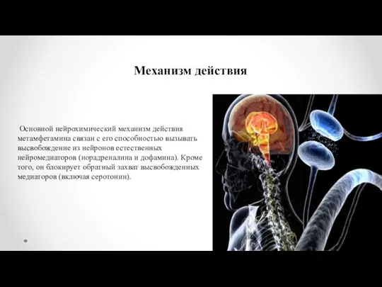Механизм действия Основной нейрохимический механизм действия метамфетамина связан с его способностью