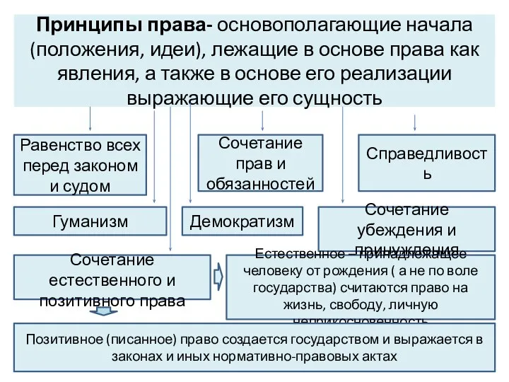 Принципы права- основополагающие начала (положения, идеи), лежащие в основе права как