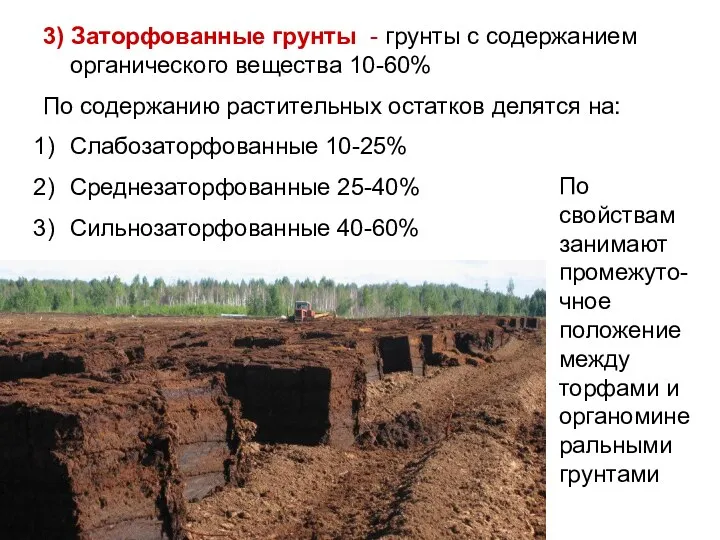 3) Заторфованные грунты - грунты с содержанием органического вещества 10-60% По