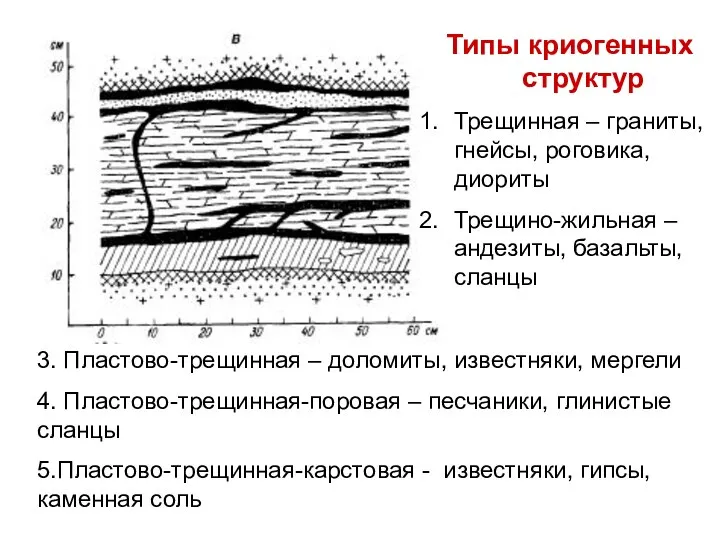 Типы криогенных структур Трещинная – граниты, гнейсы, роговика, диориты Трещино-жильная –