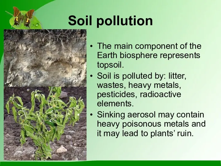 Soil pollution The main component of the Earth biosphere represents topsoil.