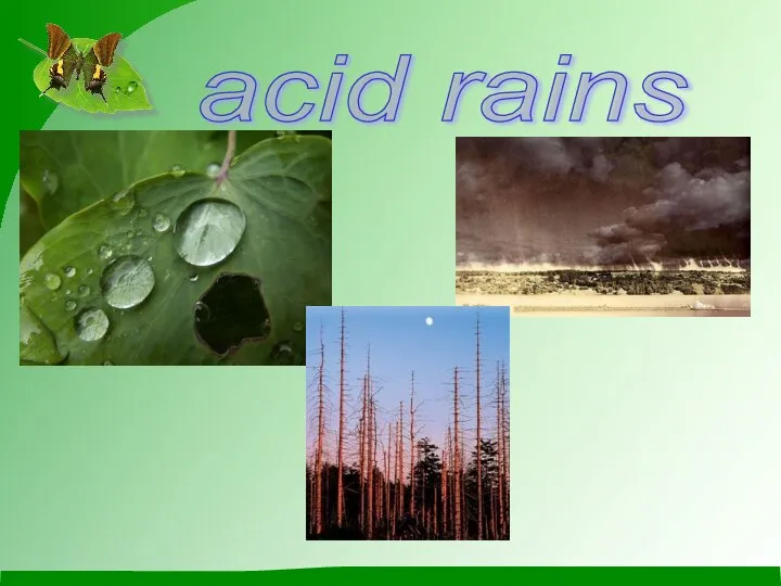 acid rains