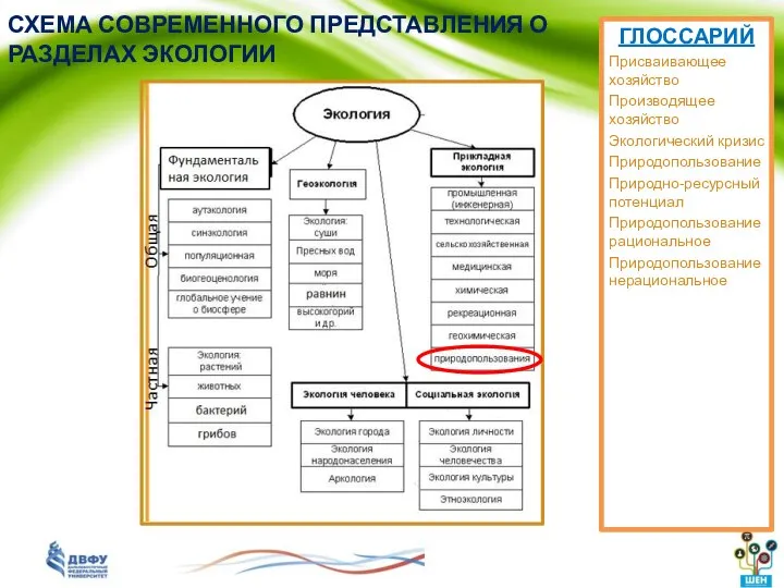 СХЕМА СОВРЕМЕННОГО ПРЕДСТАВЛЕНИЯ О РАЗДЕЛАХ ЭКОЛОГИИ ГЛОССАРИЙ Присваивающее хозяйство Производящее хозяйство