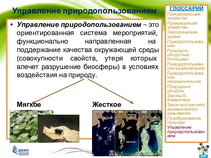 Управление природопользованием Управление природопользованием – это ориентированная система мероприятий, функционально направленная