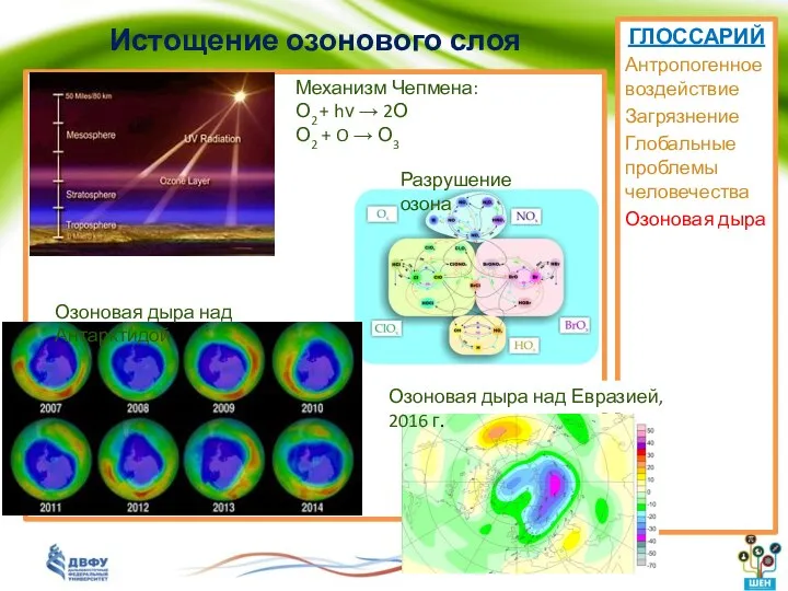 Истощение озонового слоя ГЛОССАРИЙ Антропогенное воздействие Загрязнение Глобальные проблемы человечества Озоновая