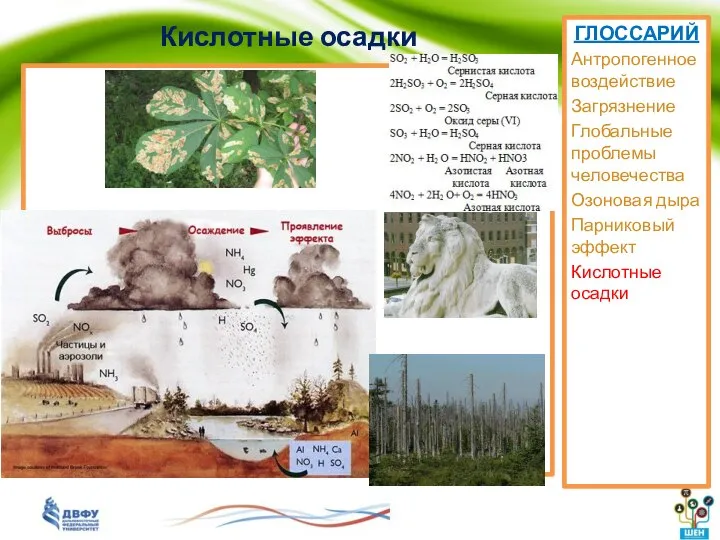 Кислотные осадки ГЛОССАРИЙ Антропогенное воздействие Загрязнение Глобальные проблемы человечества Озоновая дыра Парниковый эффект Кислотные осадки