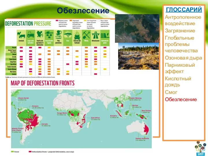 Обезлесение ГЛОССАРИЙ Антропогенное воздействие Загрязнение Глобальные проблемы человечества Озоновая дыра Парниковый эффект Кислотный дождь Смог Обезлесение