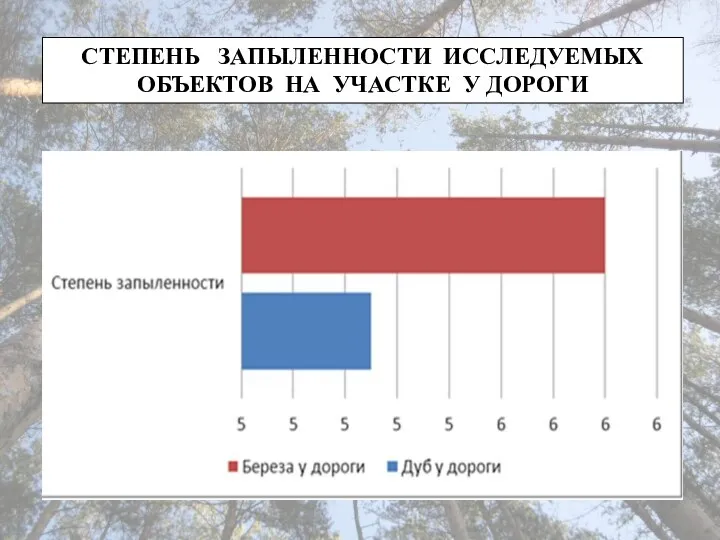 СТЕПЕНЬ ЗАПЫЛЕННОСТИ ИССЛЕДУЕМЫХ ОБЪЕКТОВ НА УЧАСТКЕ У ДОРОГИ