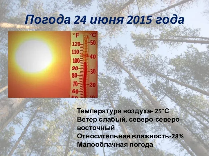 Погода 24 июня 2015 года Температура воздуха- 25°С Ветер слабый, северо-северо-восточный Относительная влажность-28% Малооблачная погода