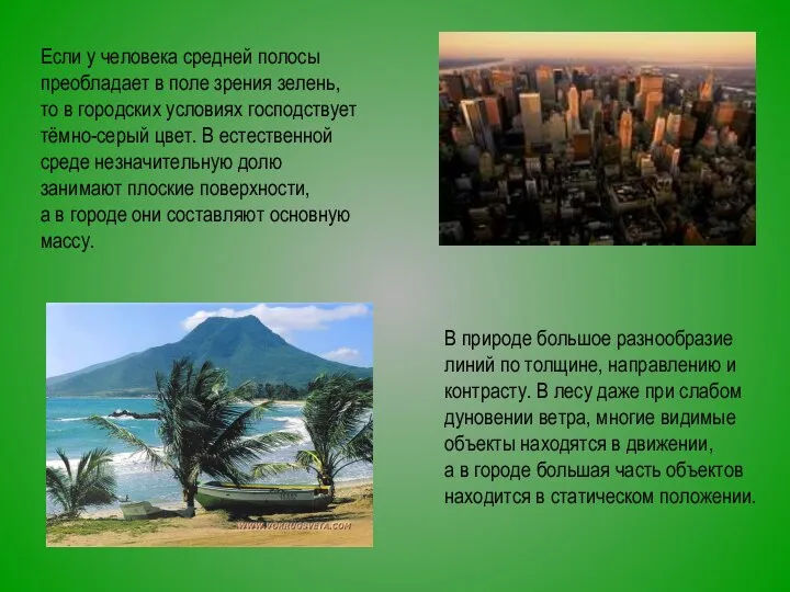 Если у человека средней полосы преобладает в поле зрения зелень, то