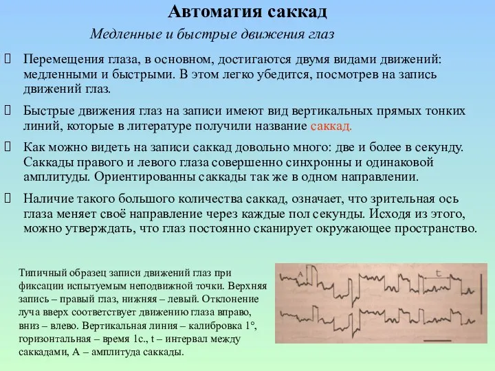 Автоматия саккад Перемещения глаза, в основном, достигаются двумя видами движений: медленными