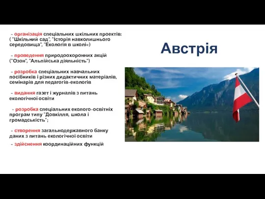 - організація спеціальних шкільних проектів: ( "Шкільний сад", "Історія навколишнього середовища",