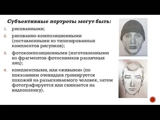 Субъективные портреты могут быть: рисованными; рисованно-композиционными (составленными из типизированных комплектов рисунков);